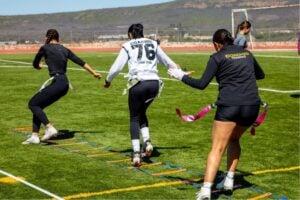 tryout evaluation